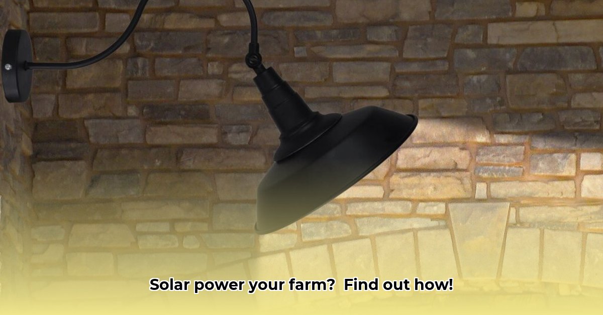 solar-lights-at-tractor-supply